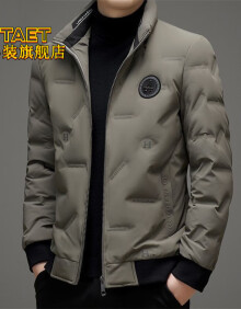 TAET轻奢男装品牌冬季立领羽绒服男士商务休闲百搭韩版短款保暖外套潮 咖灰色 185/2XL